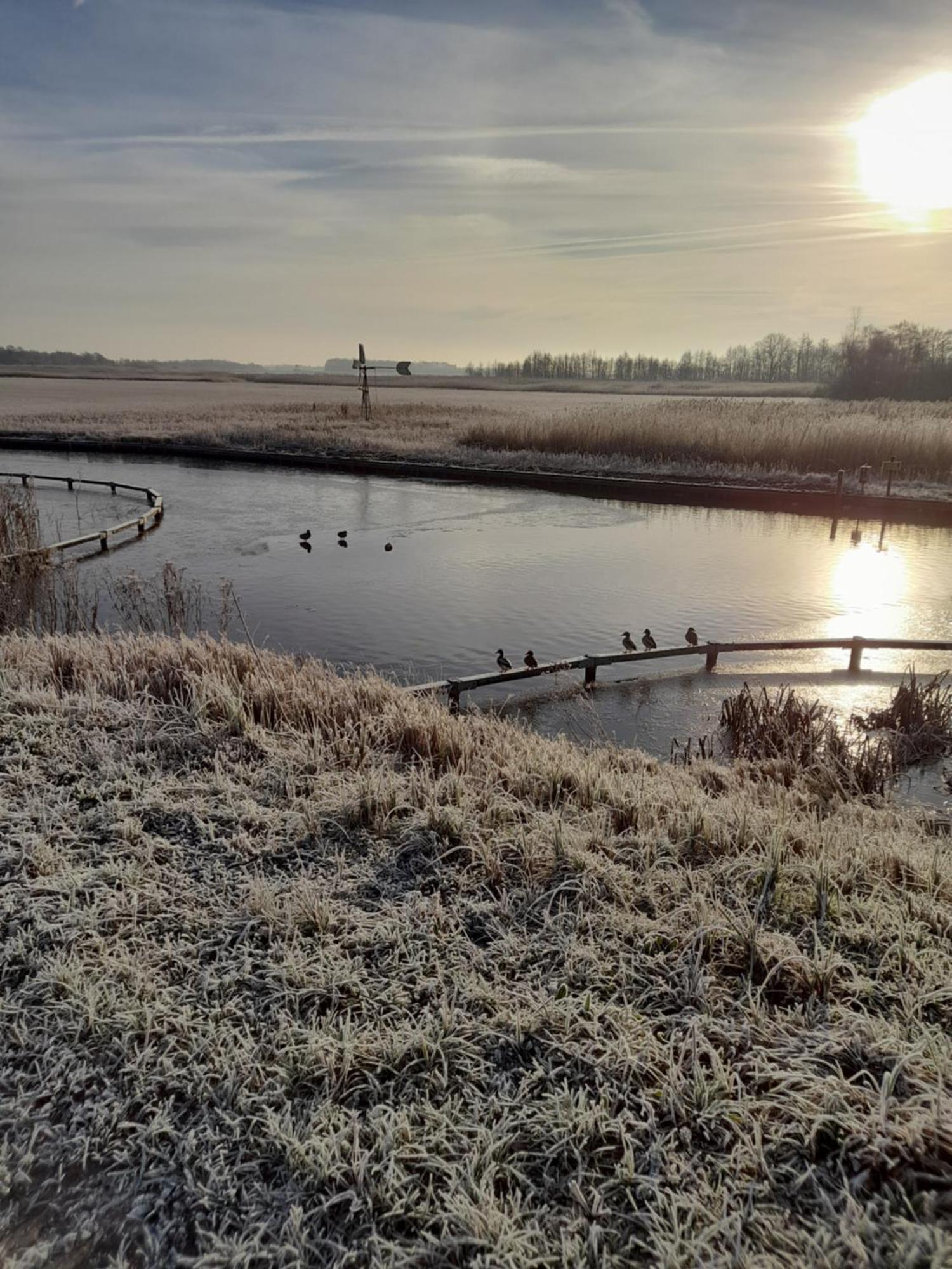 Wuivend Riet Gelegen Op Resort Venetie Giethoorn Værelse billede